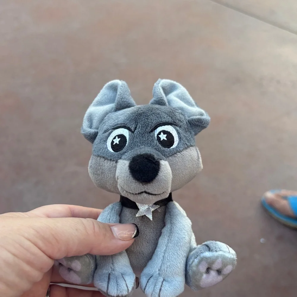 Disney disneyland park